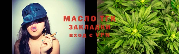 гидра Горно-Алтайск