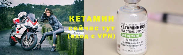 трава Богородицк