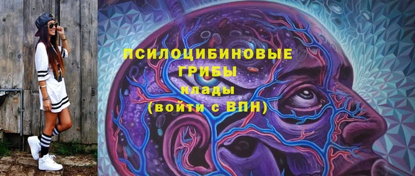 трава Богородицк