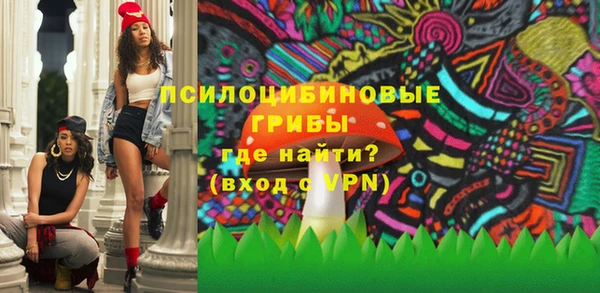 прущие крисы Козловка